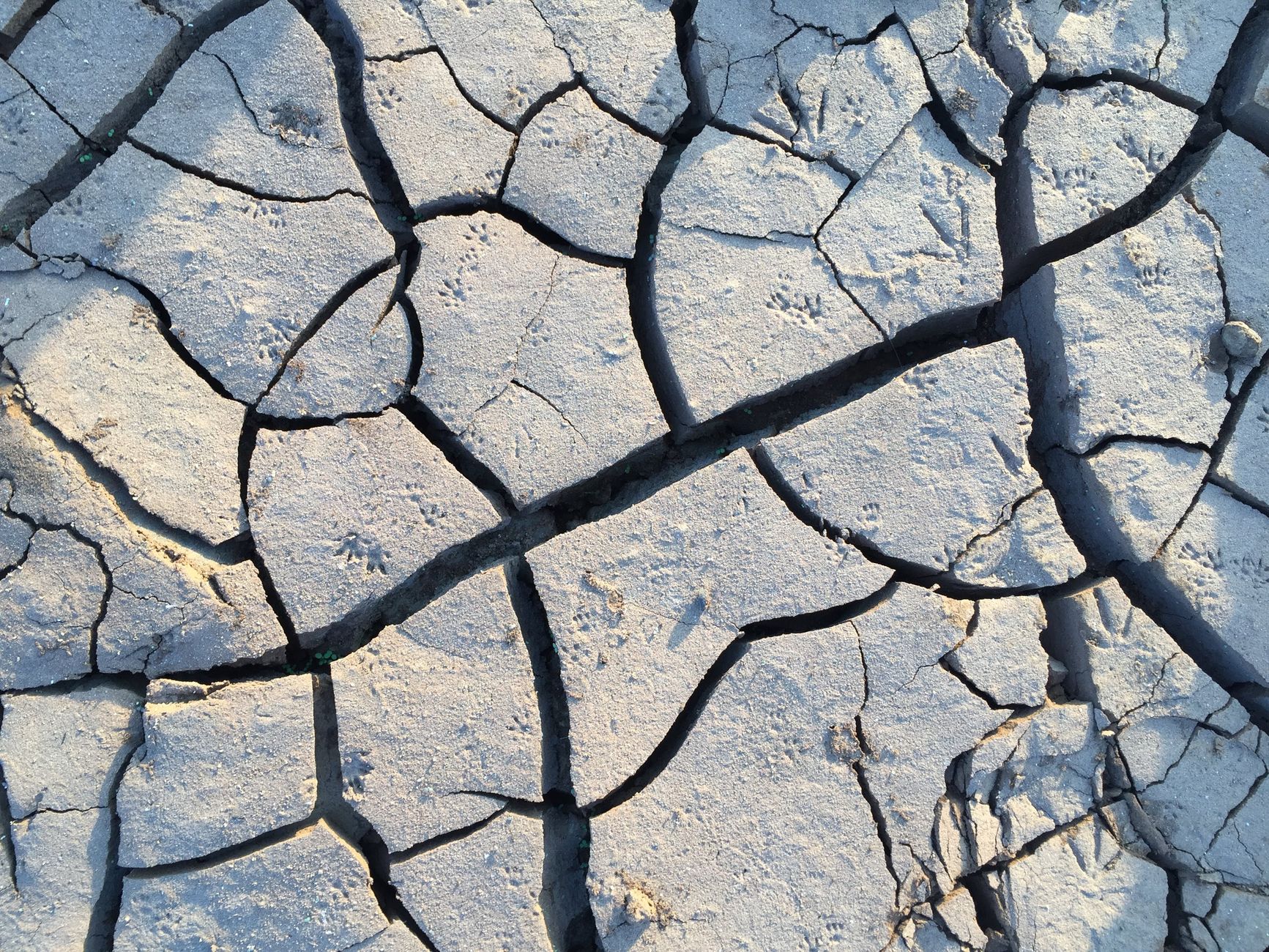 Maharashtra drought monitoring