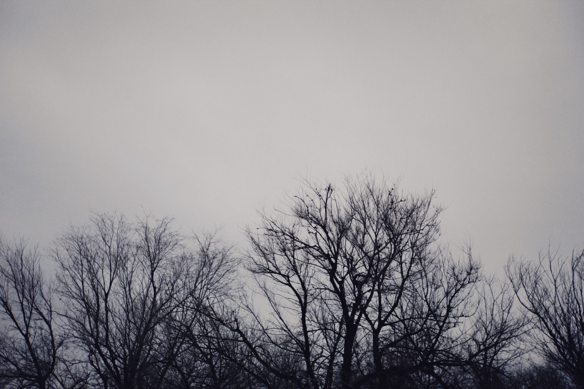 Dreary Tuesday